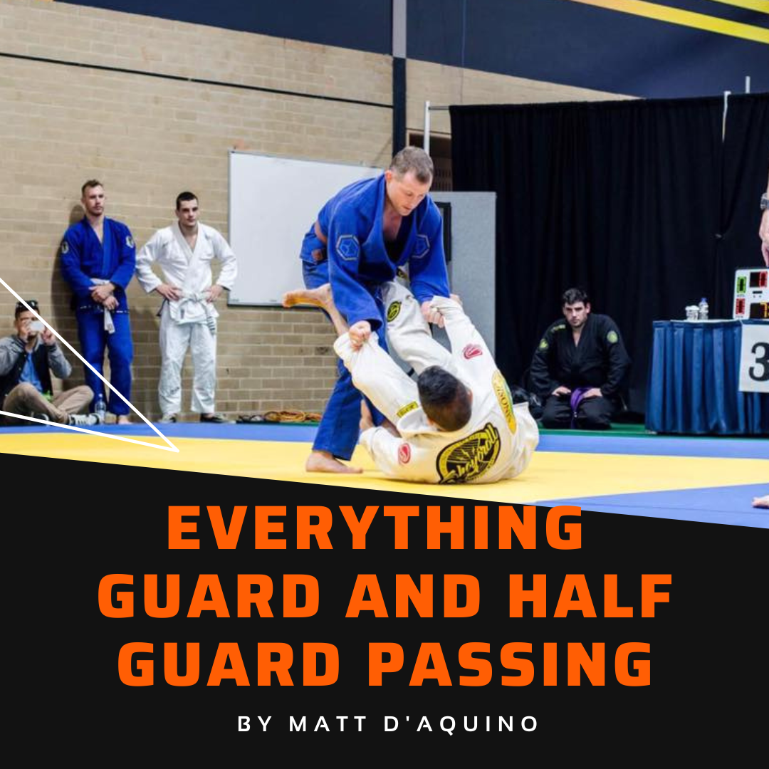 Everything Guard and half guard passing